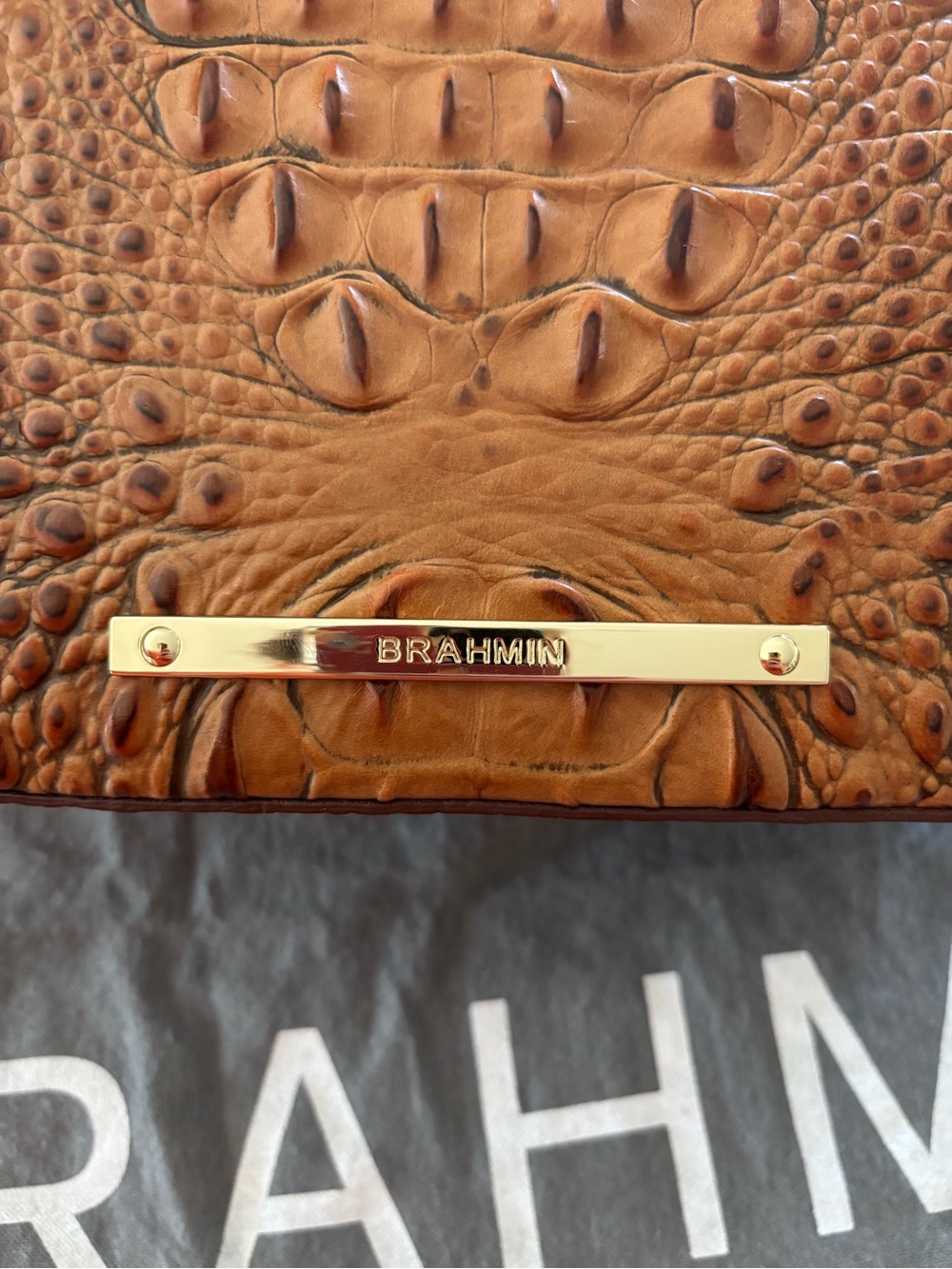 Brahmin Lorelei Pecan Melbourne Croc Embossed Leather Shoulder Bag - price firm - Picture 3 of 11